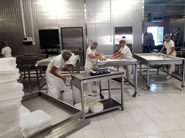 Мале млекаре велика добит